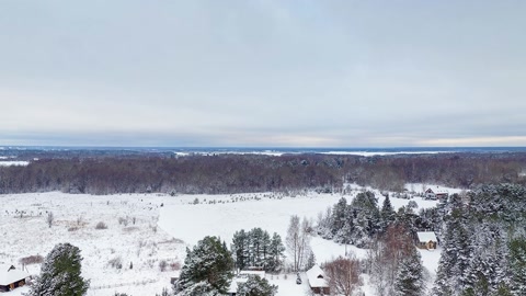 Snowy forest and ski slope — Stillmotion
