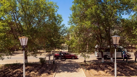 Tree-lined garden with paved paths — Stillmotion