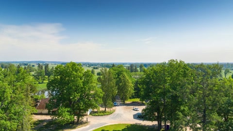 Tree farm under clear blue sky — Stillmotion
