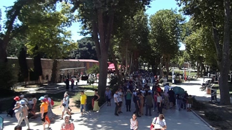 Historic gate and tree-lined park — Stillmotion