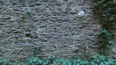 Stone ruins with overgrown vegetation — Stillmotion