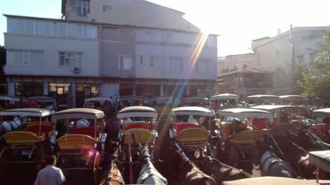 Horse-drawn carriages in parking lot — Stillmotion