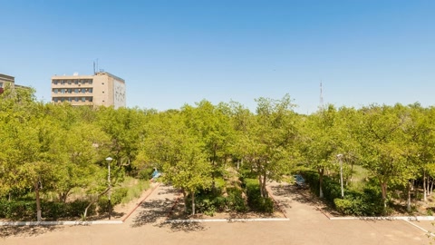 Tree-lined urban garden — Stillmotion