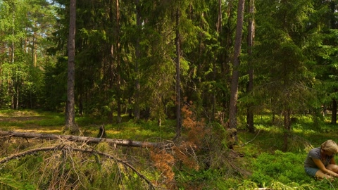 Forest with crouching hikers — Stillmotion