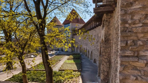 Historic stone fortress wall and town towers — Stillmotion