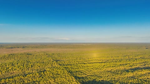 Expansive tundra landscape — Stillmotion