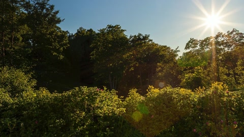 Formal garden path beside historic building — Stillmotion