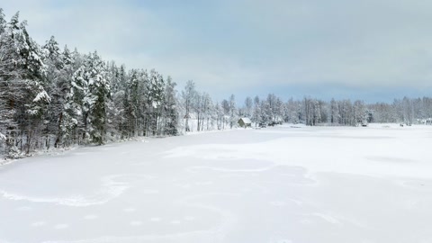 Snow covered forest and open field — Stillmotion