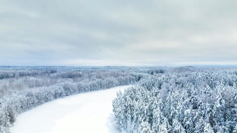 Snow-covered forest and river valley — Stillmotion