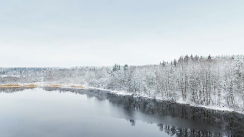 Snowy forest lake with red bridge — Stillmotion