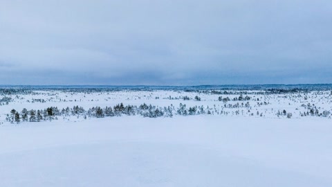 Snowfield with scattered trees — Stillmotion
