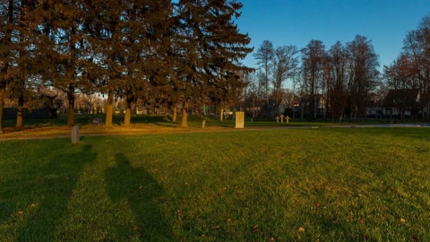 Grassy garden with stone crosses — Stillmotion