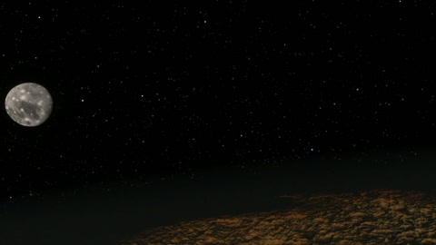 Night desert terrain with sparse vegetation — Stillmotion