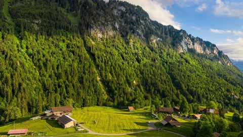 Green valley with alpine meadows — Stillmotion