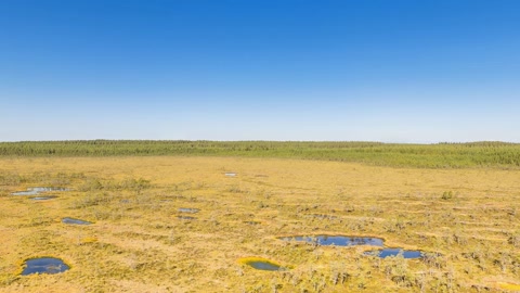 Tundra wetlands under clear sky — Stillmotion