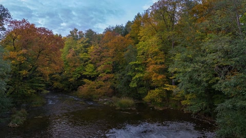 Lock chamber by forest river — Stillmotion