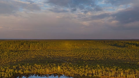 Wheat field at sunset — Stillmotion
