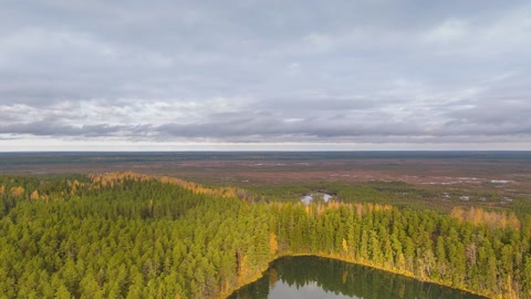 Forested marsh and lake — Stillmotion