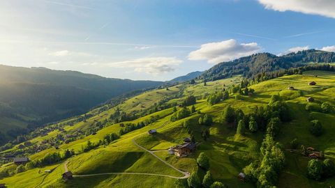 Green mountain valley landscape — Stillmotion