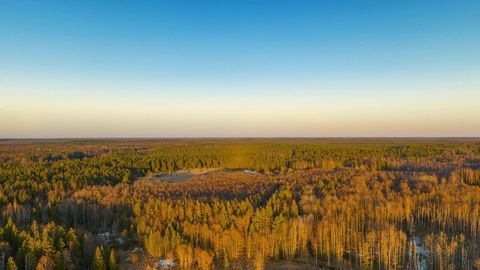 Marsh at sunset — Stillmotion