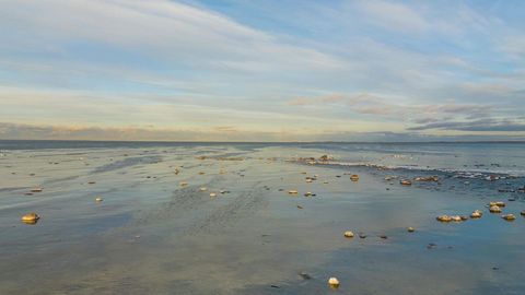 Rocky beach at sunset — Stillmotion