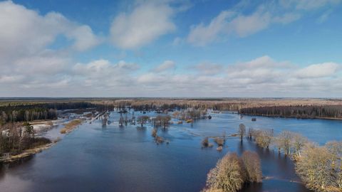 Flooded marsh under cloudy sky — Stillmotion