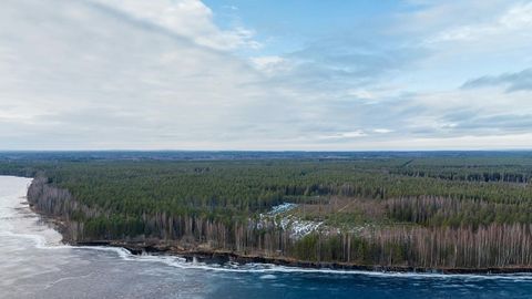 Frozen lake beside forested shoreline — Stillmotion