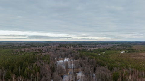 Marsh under cloudy skies — Stillmotion