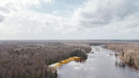 Marsh under cloudy skies — Stillmotion