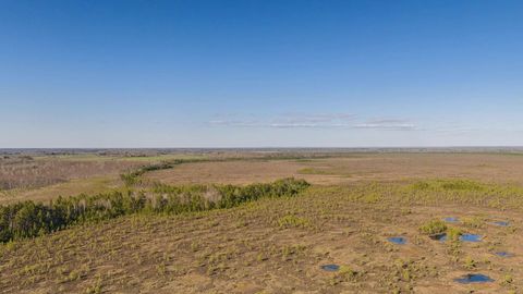 Tundra with shallow ponds — Stillmotion