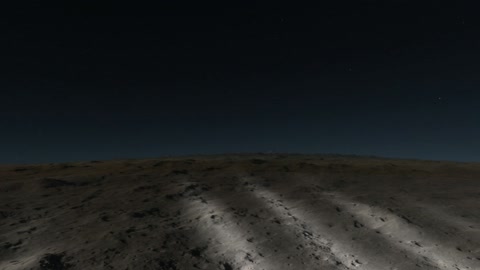 Night desert with sparse vegetation — Stillmotion