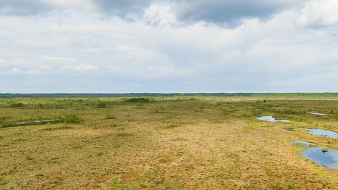 Tundra wetland with shallow pools — Stillmotion