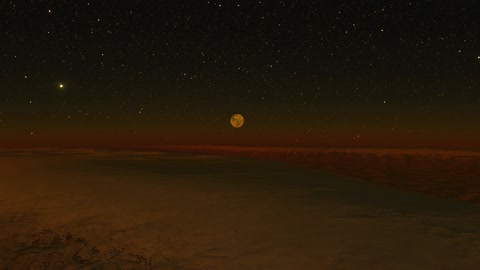 Night desert with sparse vegetation — Stillmotion