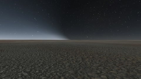 Night desert plain with sparse vegetation — Stillmotion