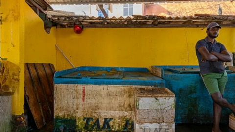 Indoor fish market stalls — Stillmotion