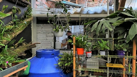 Indoor greenhouse with lush plants — Stillmotion