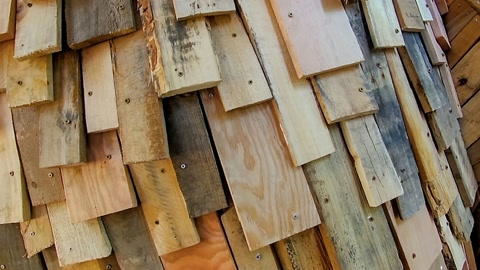 Wooden sculpture installation in forest clearing — Stillmotion