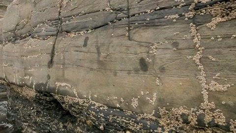 Rocky cliffs by the shore — Stillmotion