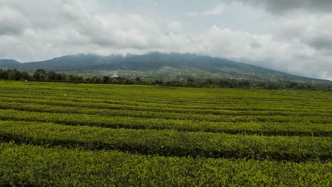 Cultivated field under cloudy skies — Stillmotion
