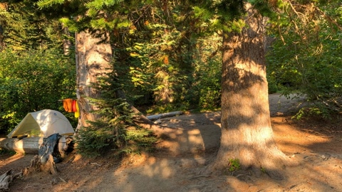 Forest campsite beside mountain lake — Stillmotion