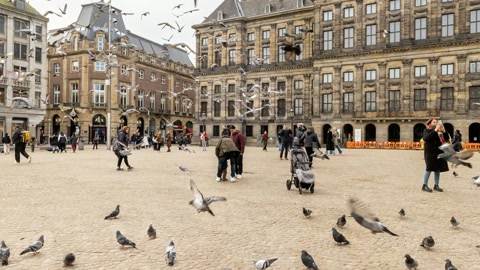 Crowded plaza with pigeons — Stillmotion