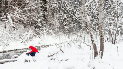 Snowy forest stream landscape — Stillmotion