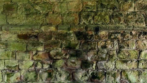 Stone vaulted chamber with arches — Stillmotion