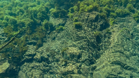 Scuba divers exploring underwater canyon — Stillmotion