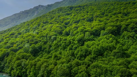 Green valley with winding river — Stillmotion