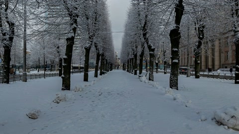 Snowy campus with tree-lined path — Stillmotion