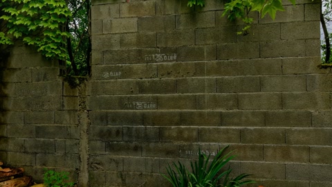 Overgrown cinder block yard — Stillmotion