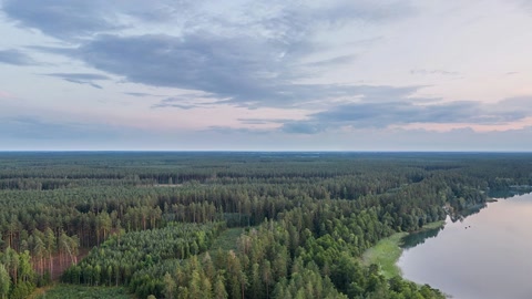 Forest lake at sunset — Stillmotion