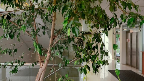 Reception at ALMA — Stillmotion