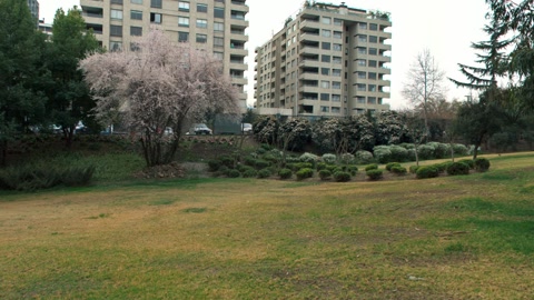 Vitacura gardens — Stillmotion